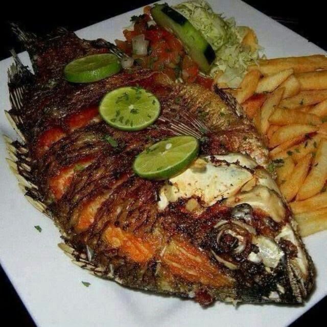 Fish dish served at Lavanda Restaurant